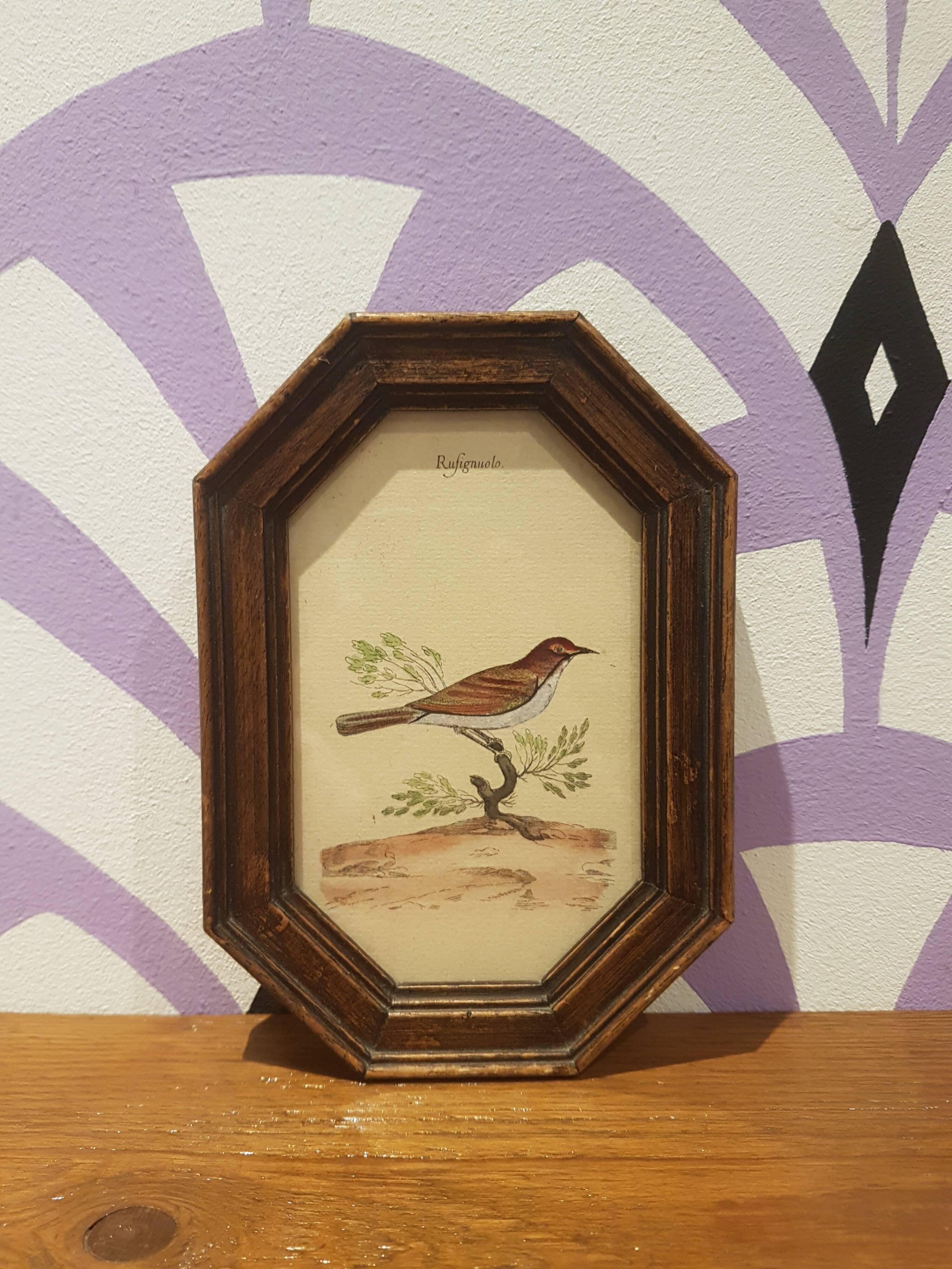 Paire de cadres ornithologie art déco