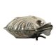 Silver-Plated Shell Butter Dish Caviar Holder Made in England