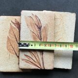 Roger ceramic tiles herbarium model