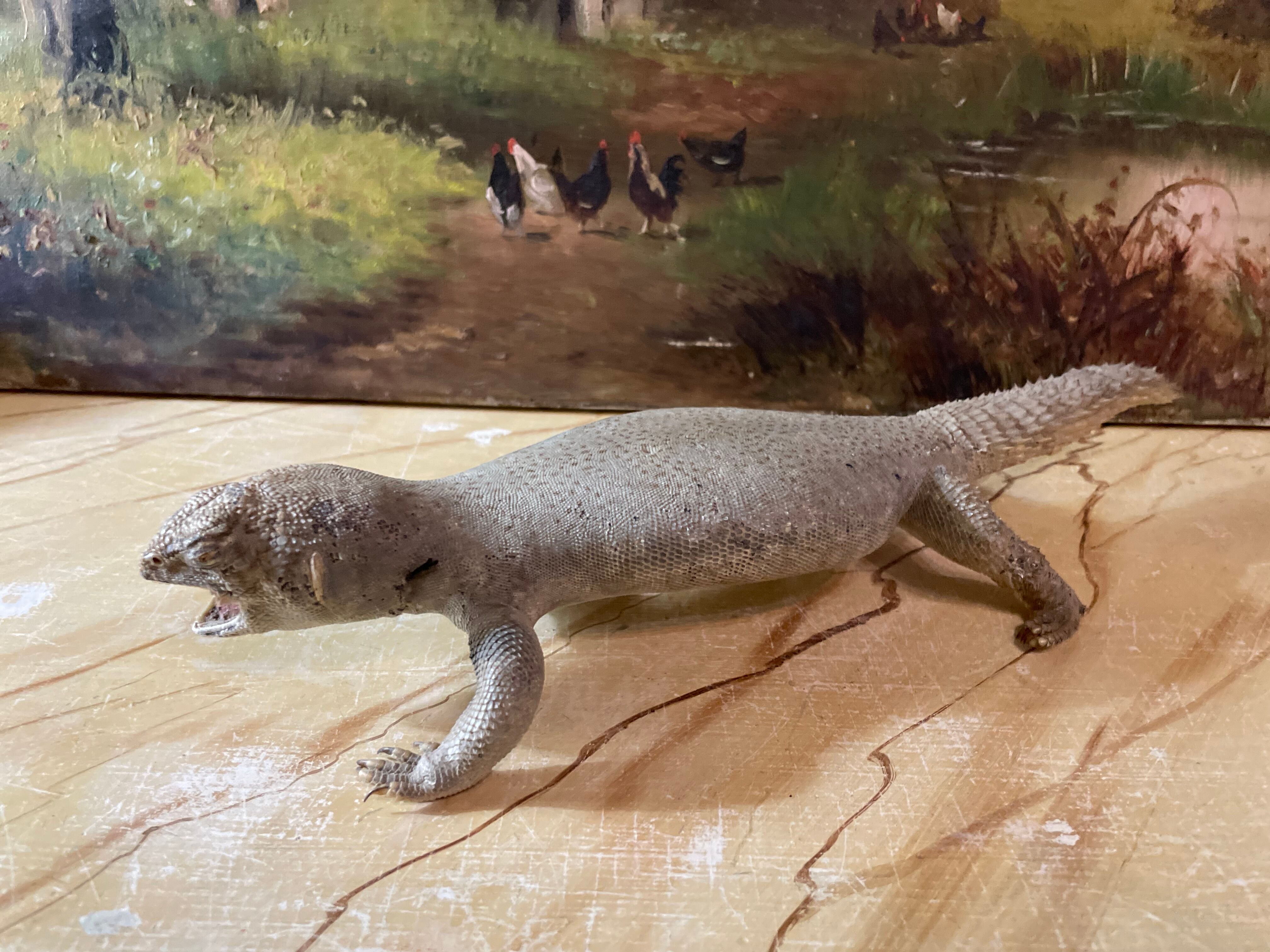 Ancient naturalized lizard