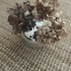 Christofle-Gio Ponti silver ball vase/flower holder