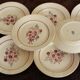 Batch 17 plates flat Badonviller eyelets red blue Art Deco 1923