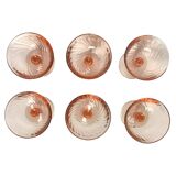 6 verres à champagne verre Rosaline