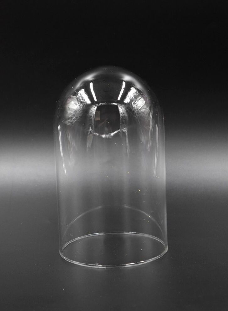 Glass bell globe for decoration cabinet of curiosity