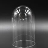 Glass bell globe for decoration cabinet of curiosity