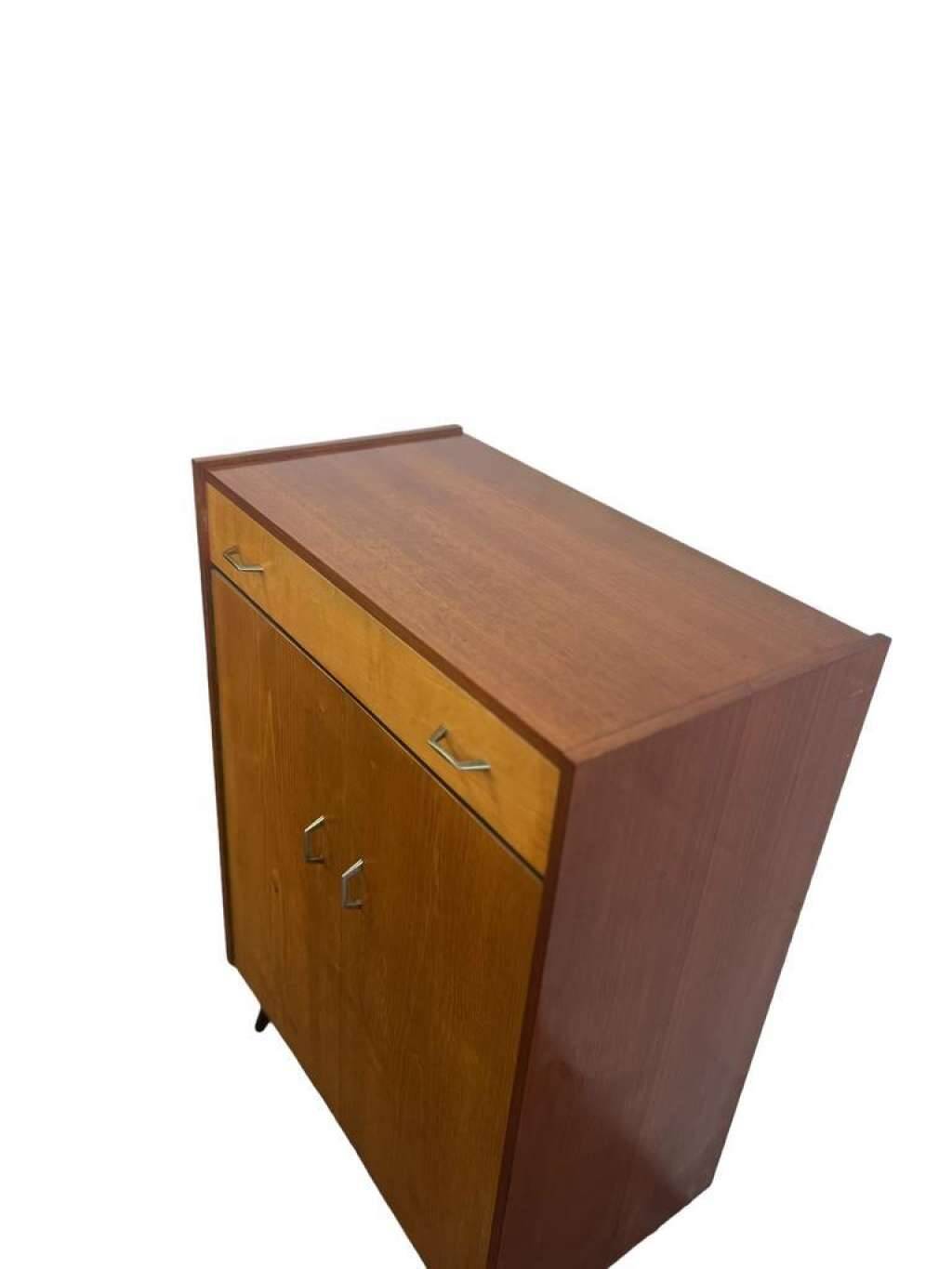 VINTAGE CABINET / SHELVING CABINET / SHOE CABINET