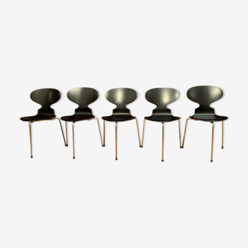 A set of five chairs Early model 3100 by Arne Jacobsen, Fritz Hansen, Denmark, 1963