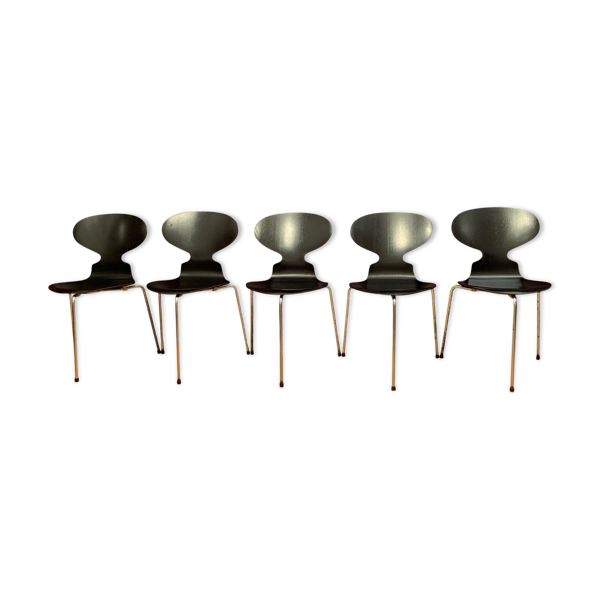 Lot de 5 chaises modèle 3100 par Arne Jacobsen, Fritz Hansen, Danemark, 1963 — Beyit