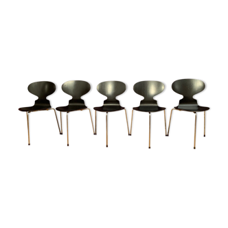 A set of five chairs Early model 3100 by Arne Jacobsen, Fritz Hansen, Denmark, 1963