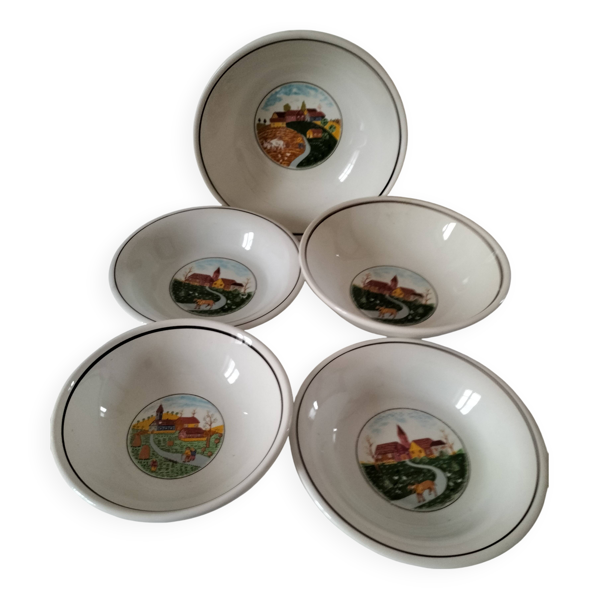 Set of 5 Italian ceramic dishes with country decor