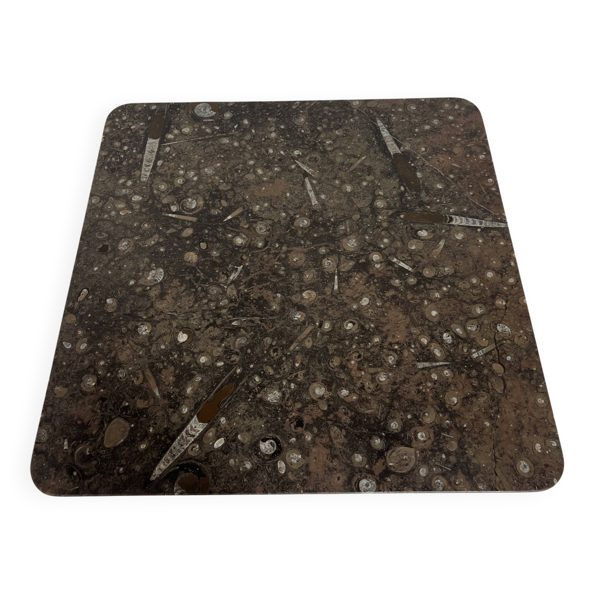 Fossil Stone Coffee Table by Heinz Lilienthal, 1980s