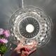Vintage molded glass lampshade pendant light - tableware collection -