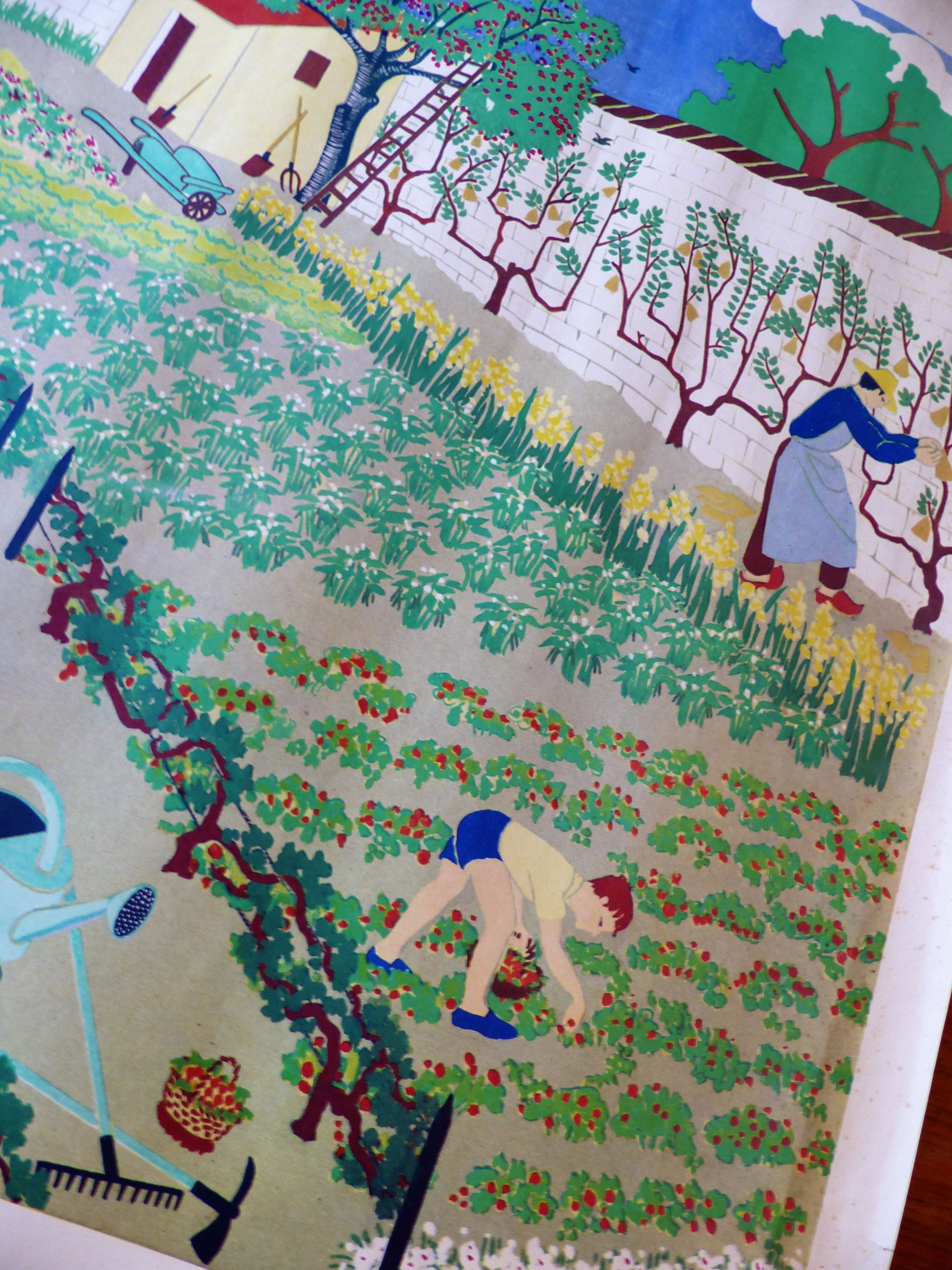 Poster Armand Colin n ° 8: in the vegetable garden