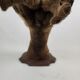 Stuffed and naturalized deer head Taxidermy