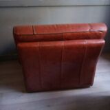 Buffalo leather armchairs