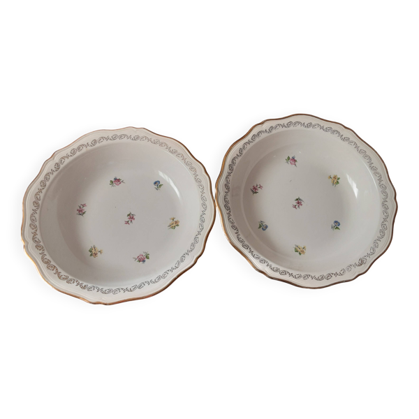 Lot de 2 saladiers   Lamandinoise