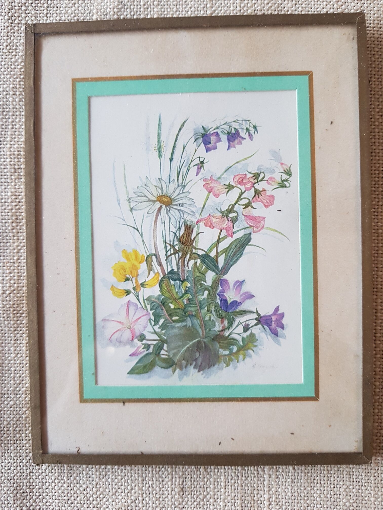 Pair of frames botanical board