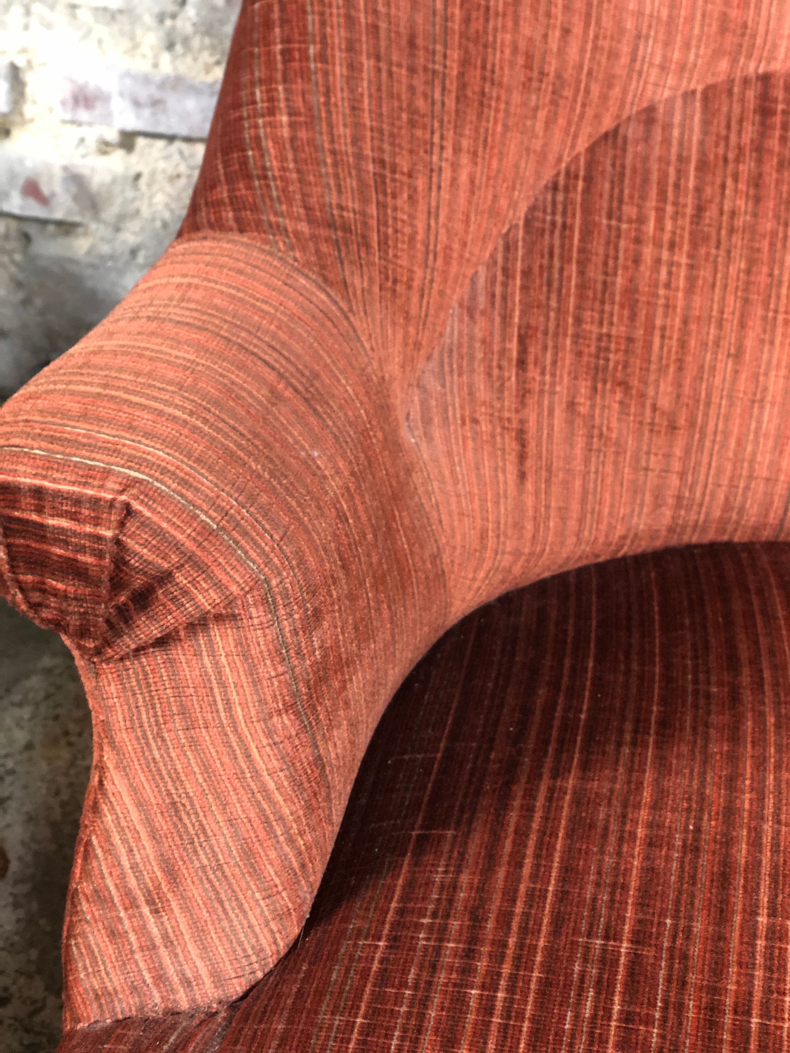 Toad armchairs Napoleon III
