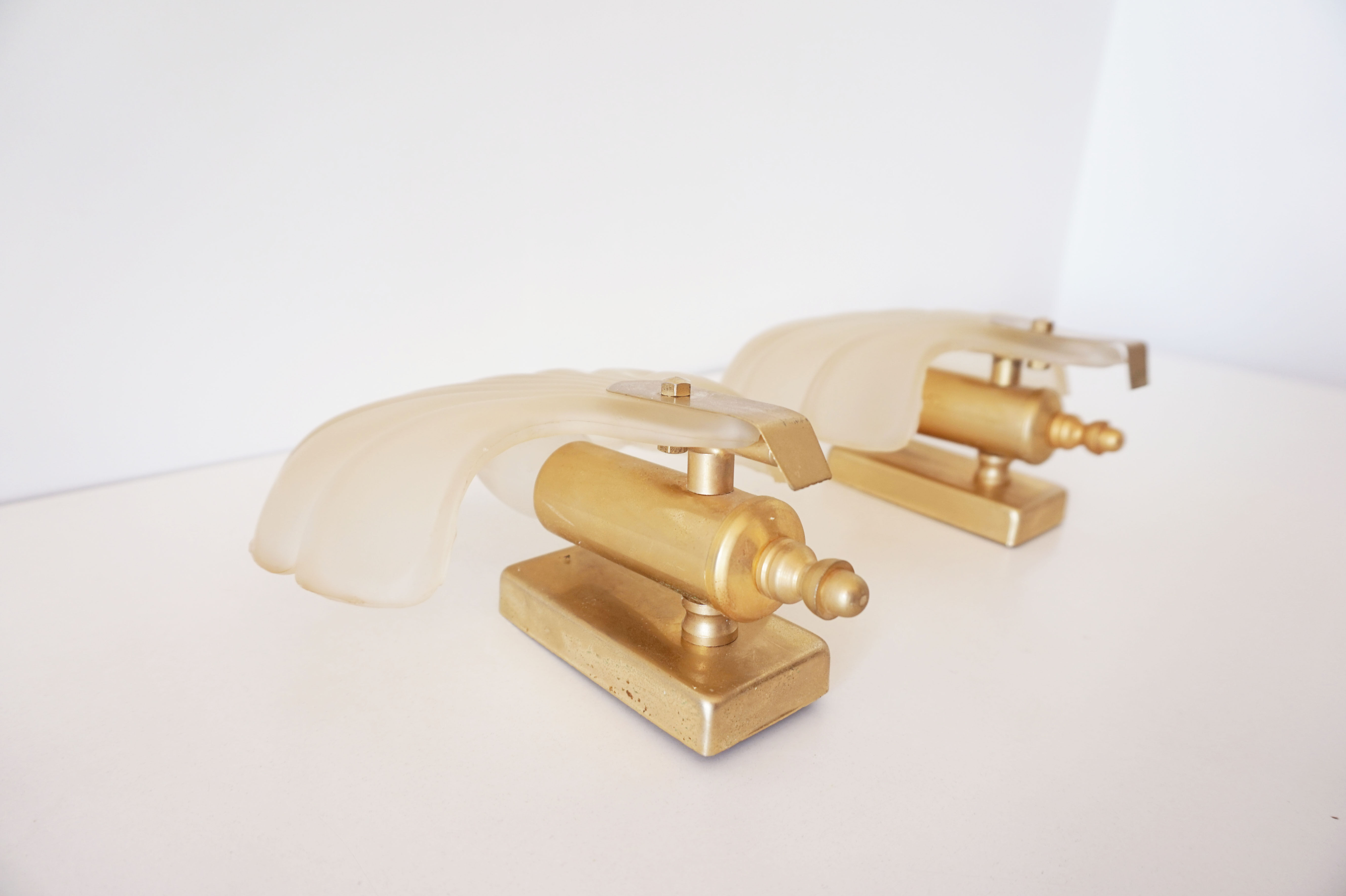 Pair of glass shell sconces