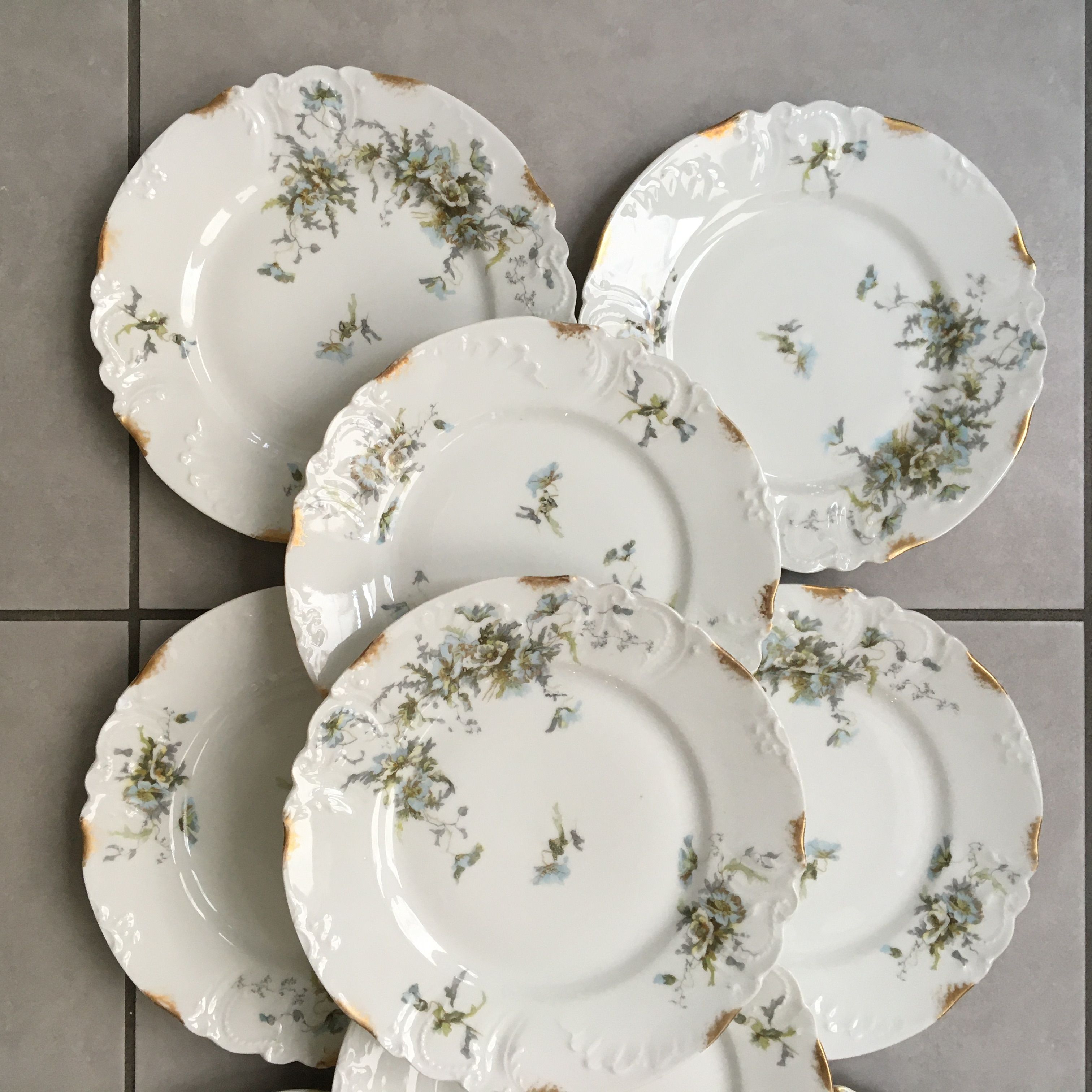 set of 9 plates Clématites porcelain Limoges Art Nouveau