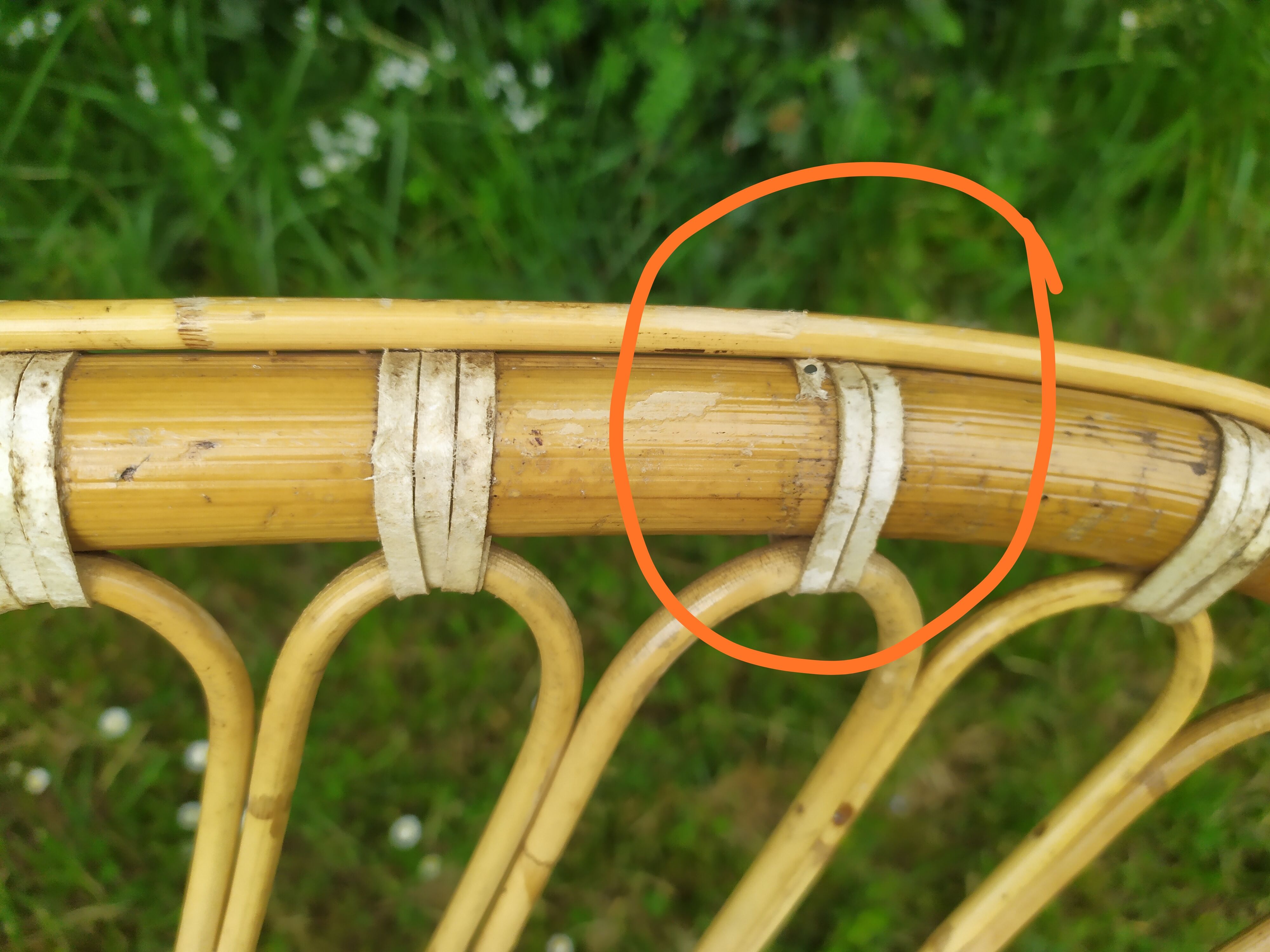 Rattan bench years 50/60