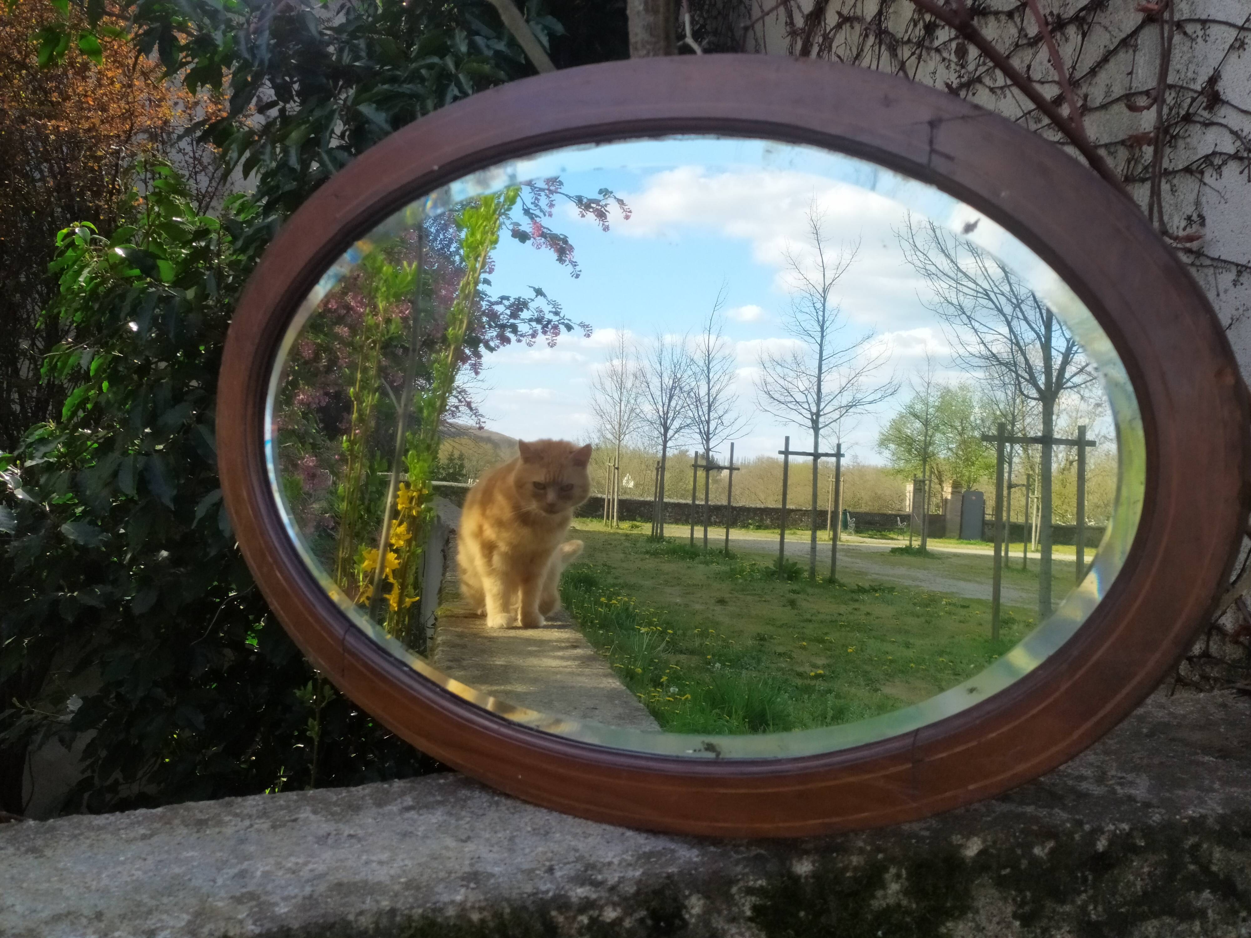 Beveled oval mirror 83x52cm