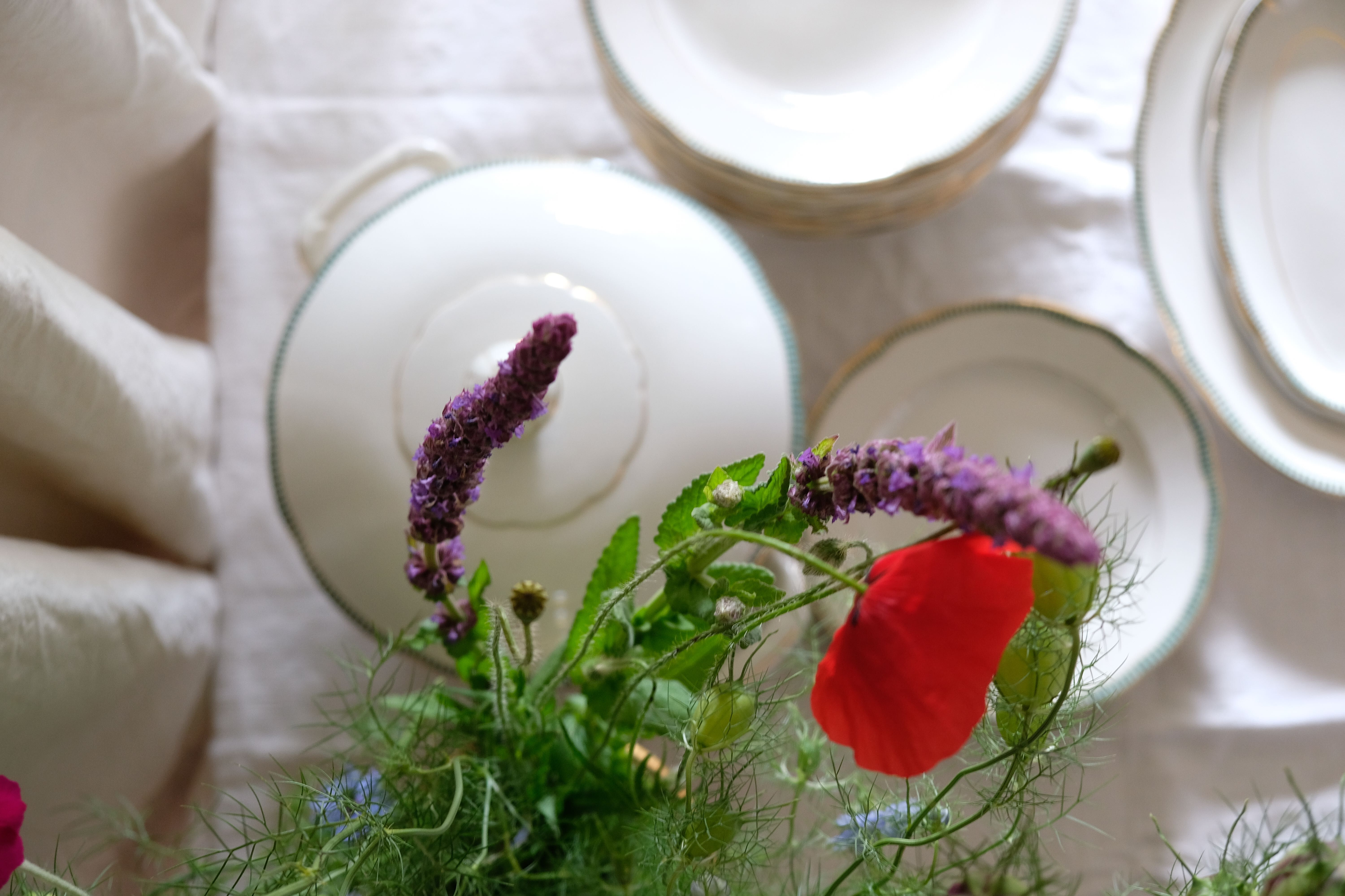 Set of 12 porcelain soup plates collection ''Juan'' Sarreguemine Digoin 1950