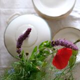 Set of 12 porcelain soup plates collection ''Juan'' Sarreguemine Digoin 1950