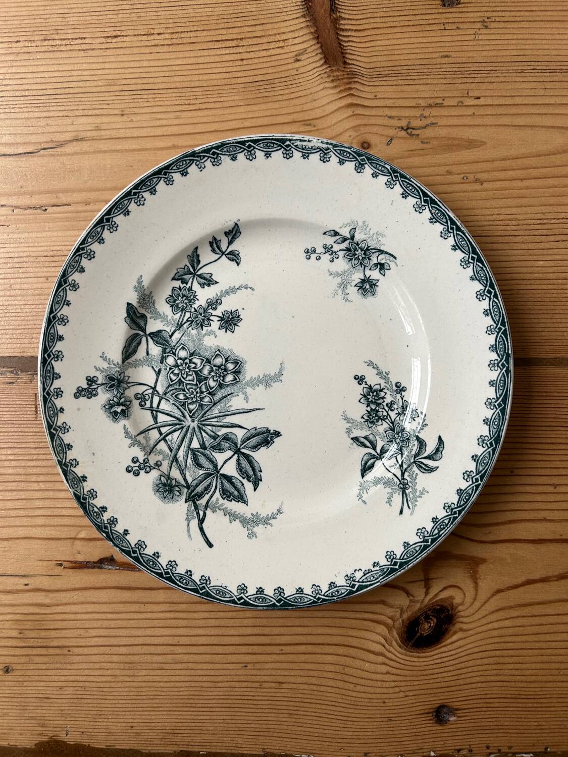 Set of 6 mismatched antique dinner plates