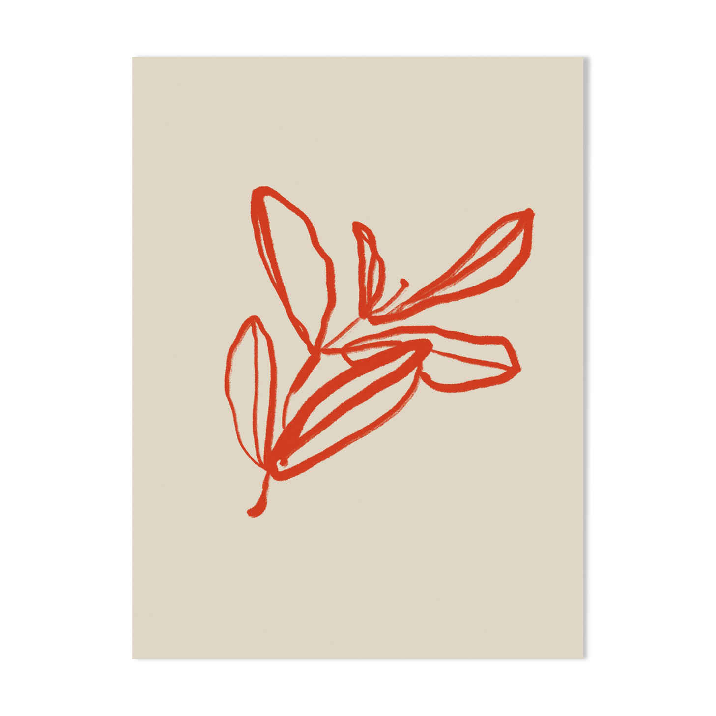 Botanical illustration giclee print, 50x70