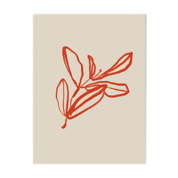 Botanical illustration giclee print, 50x70