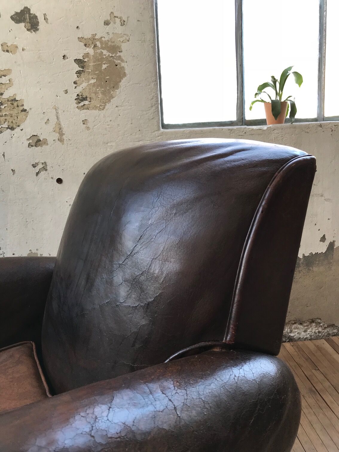 Leather club Armchair