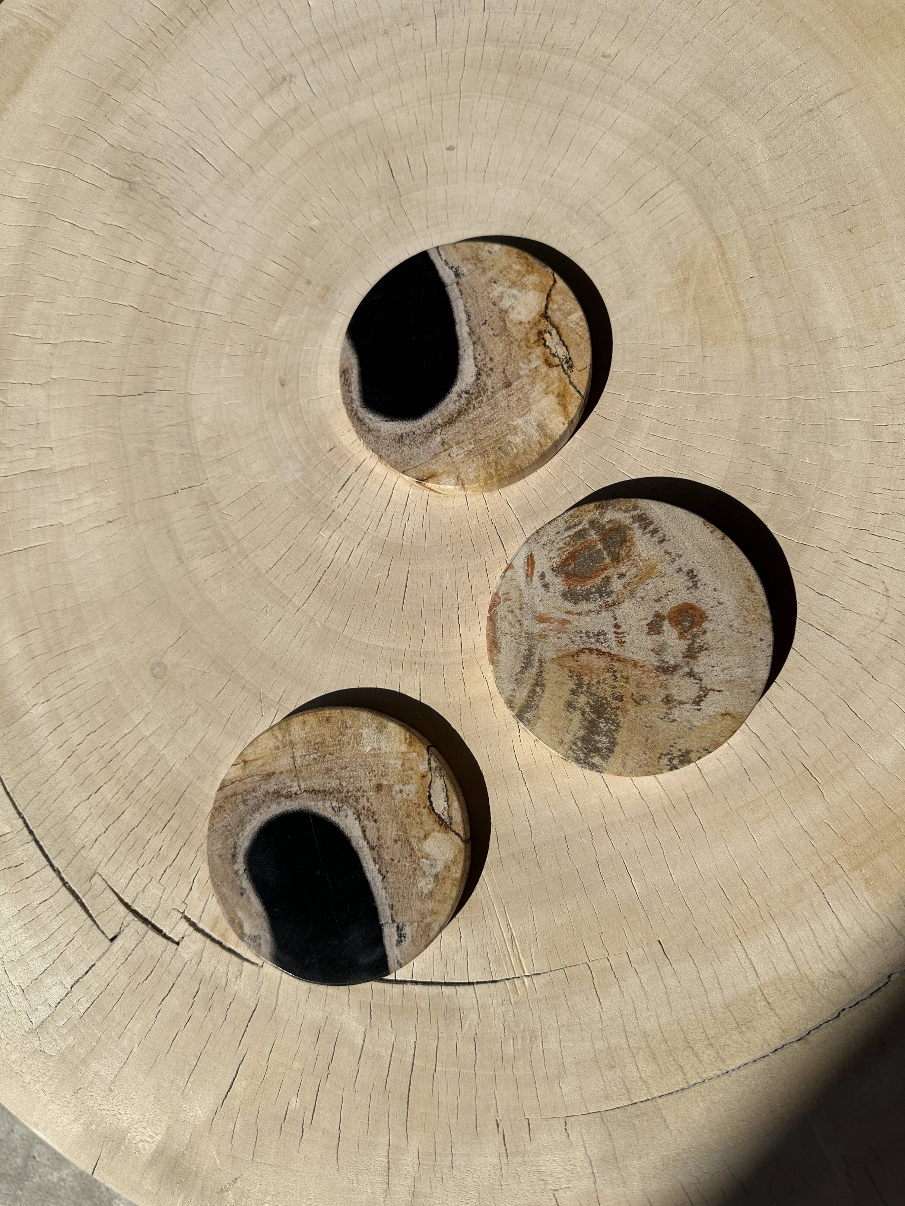 Set of 3 fossilized wooden coasters (clear)