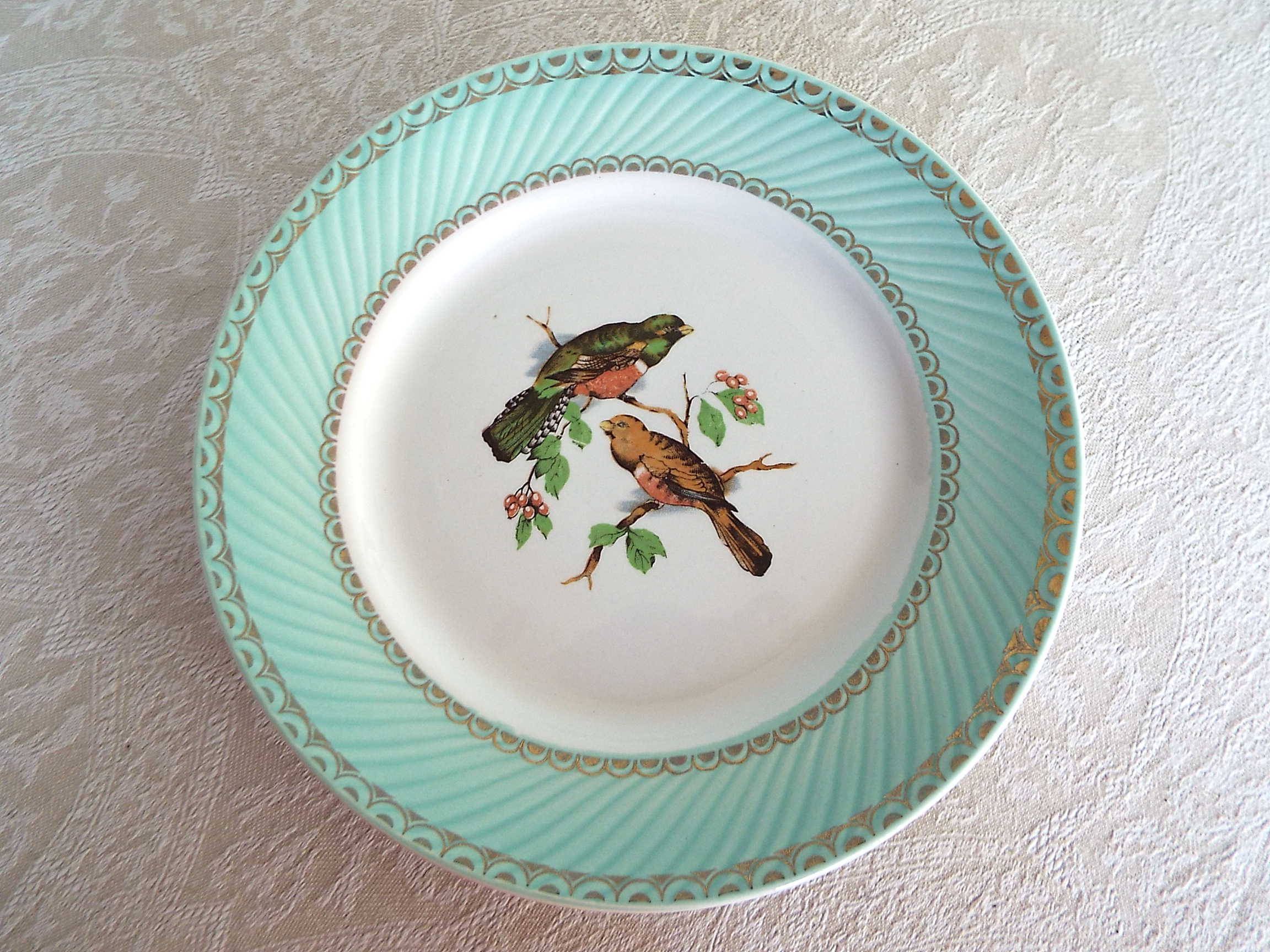 Flat plates Birds