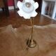Opaline lamp