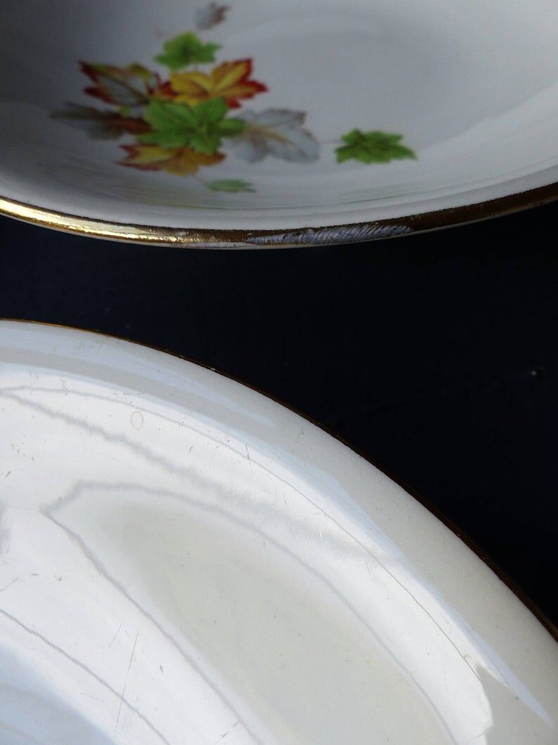 4 Gien "primefleur" hollow porcelain plates
