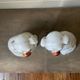 Pair of ceramic Staffordshire dogs late 19th century
