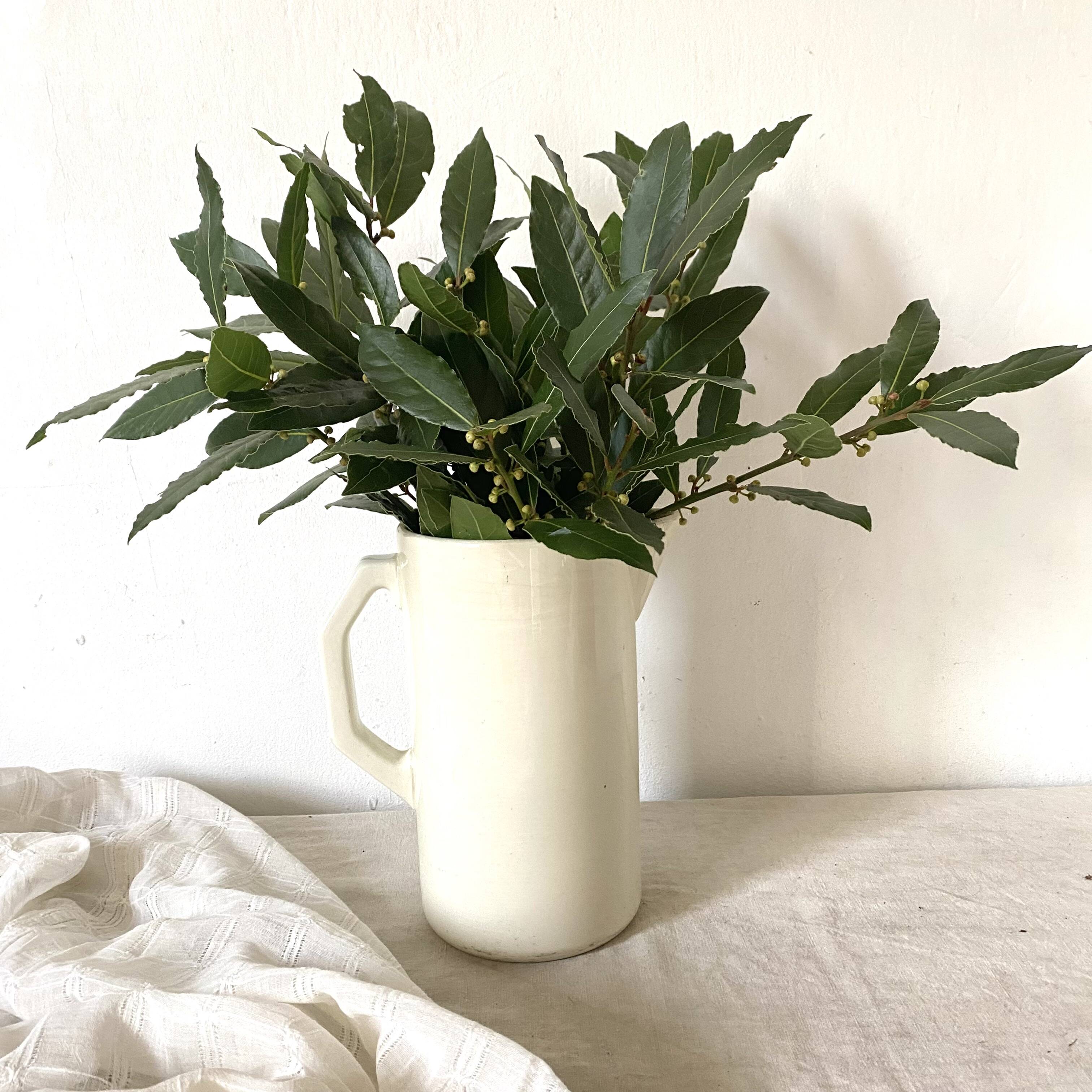 Old pitcher, Gien pitcher