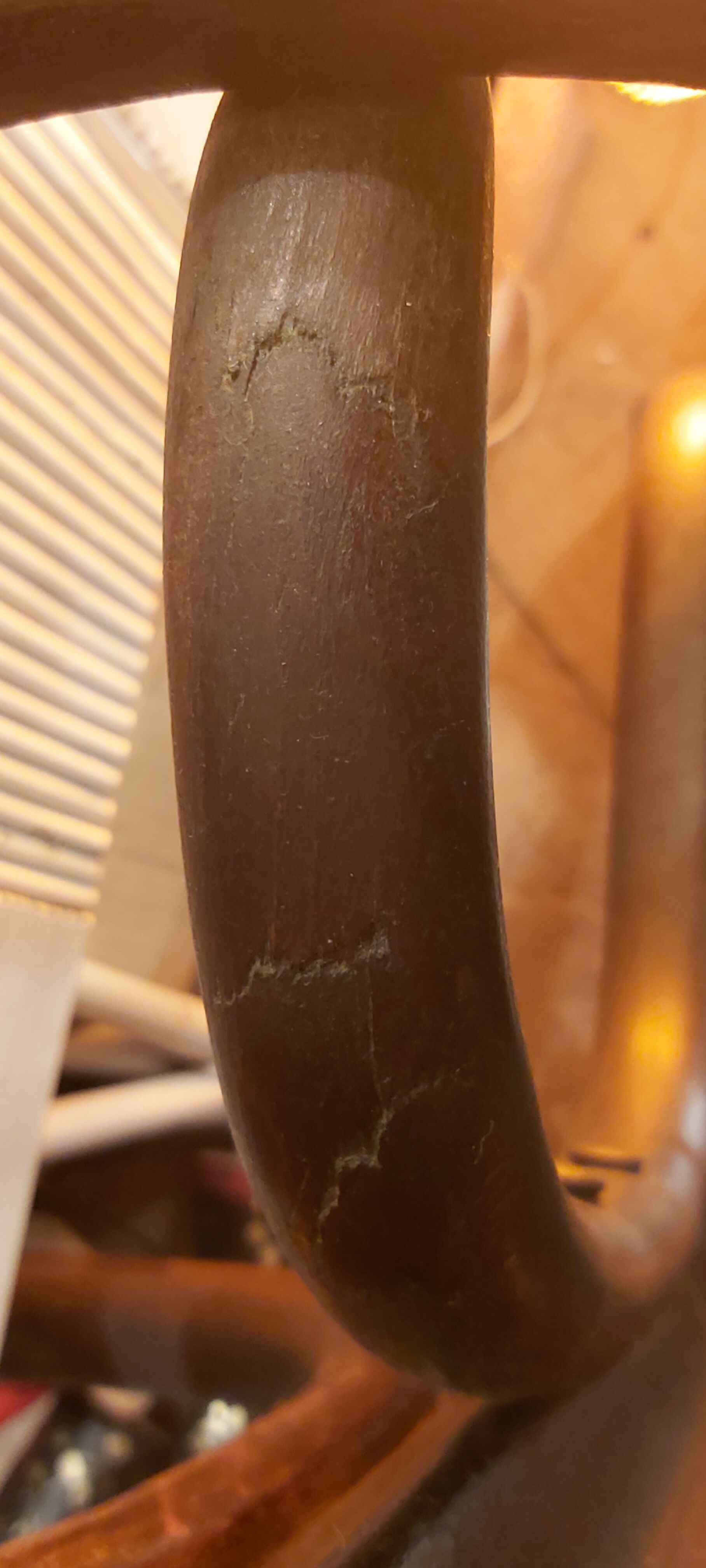 Fischel parrot coat holder