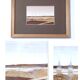 Signed watercolored plant collage