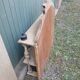 Étagère ancienne en bois sculpté