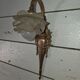 Art Deco wall light in gilded bronze, 1930s