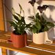 Jardinière Mobi Ocre Brûlé