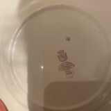 Dessert plate and porcelain dish with a multicoloured floral pattern vintage.