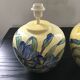 Paire de pieds de lampes italiennes décor iris