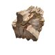 Petrified Wood As A Side Table, more than 50 million years old