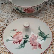 12 assiettes plates anciennes + soupière HBCM