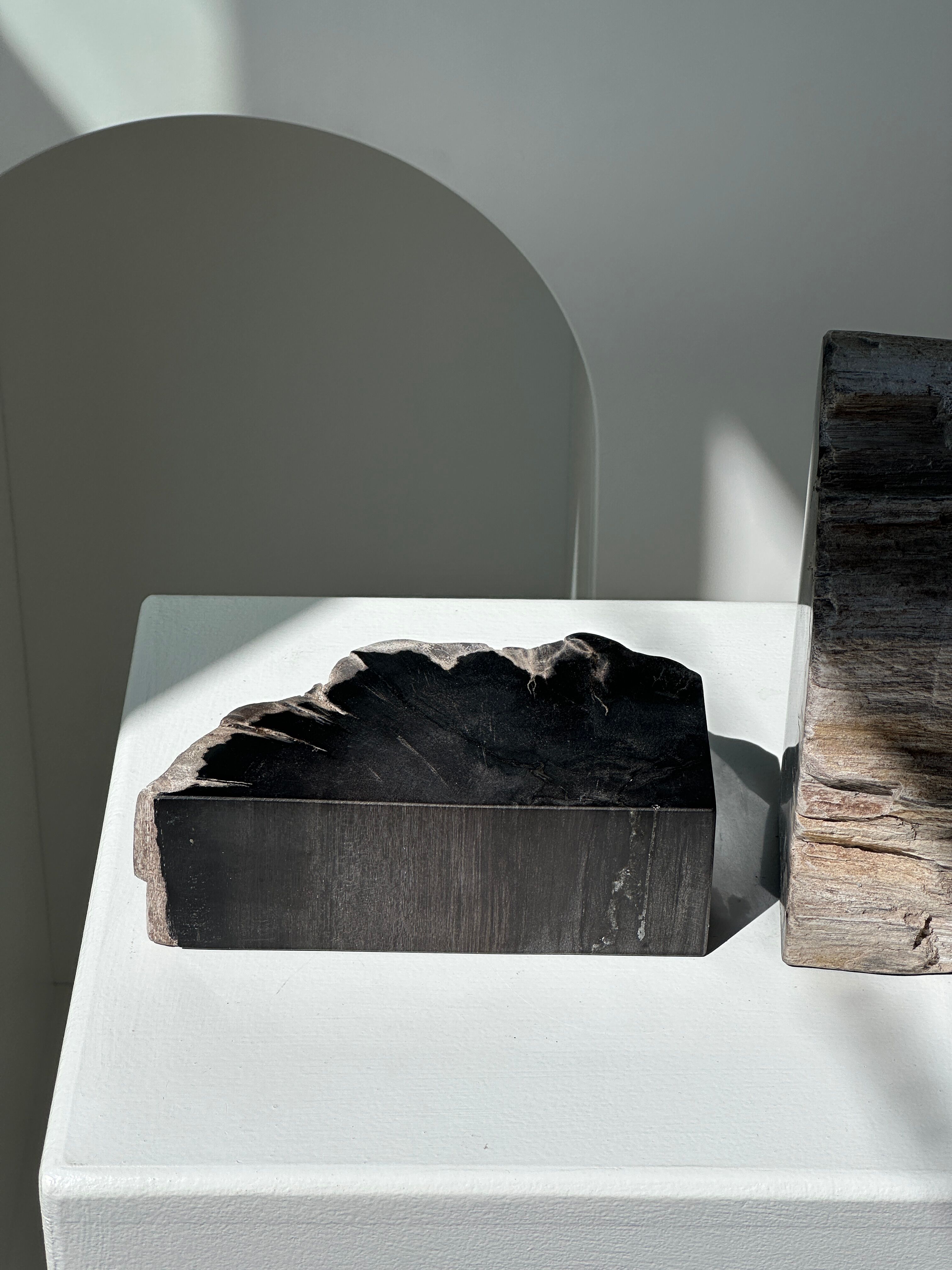 Black petrified wood bookend H17 L17 P6