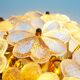 Petite brass and Murano glass flower flush mount light by E. Palme