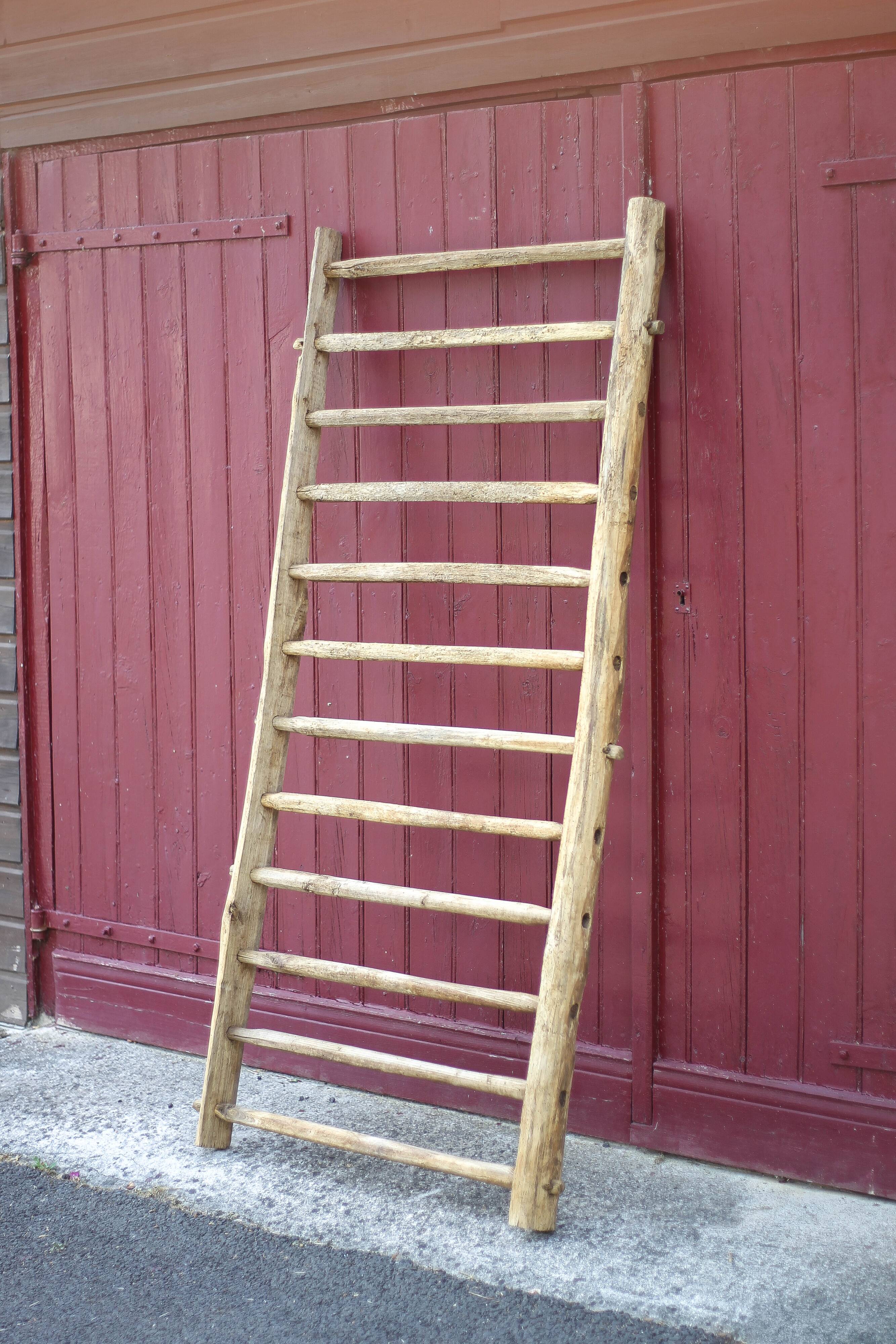 Antique vintage wooden animal fence, wall trellis, plant stand